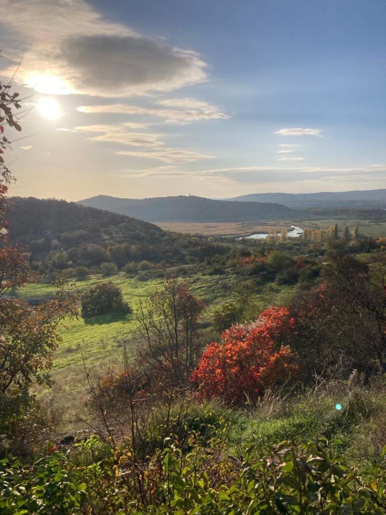 Babamuzeum Apartman Tihany Buitenkant foto